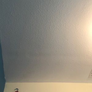 Meet your Posher, Daisy